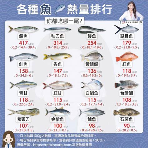 魚名查詢